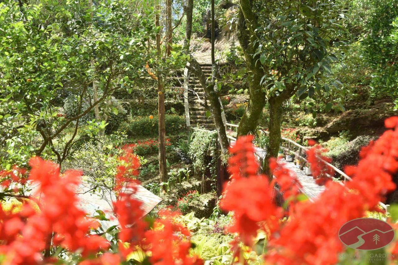 Skyland Garden Hotel and Resort Baguio City Exteriör bild